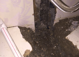 五营卫生间测漏水哪家好