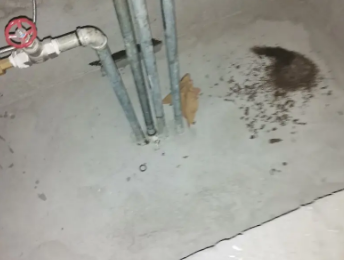 五营卫生间测漏水价格明细